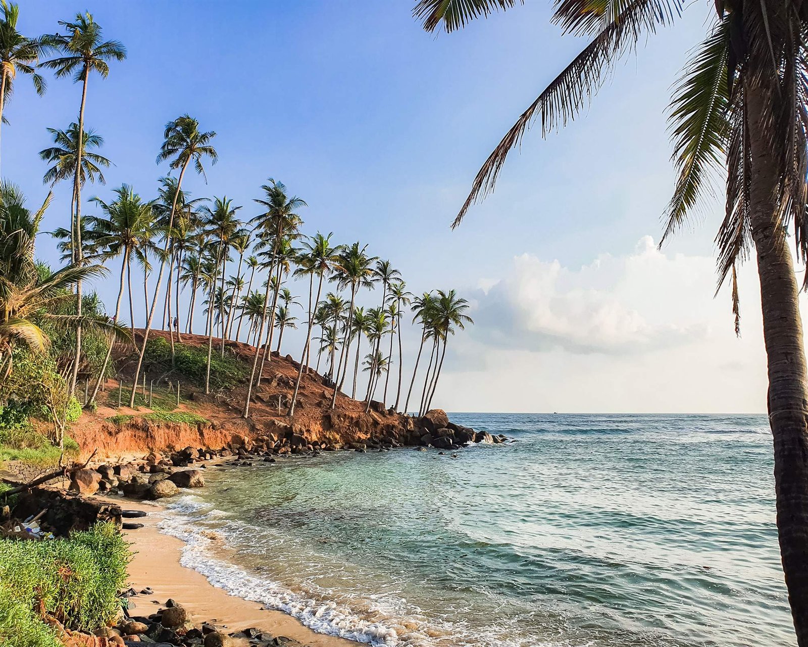 Golden light over a palm-covered headland and calm bay