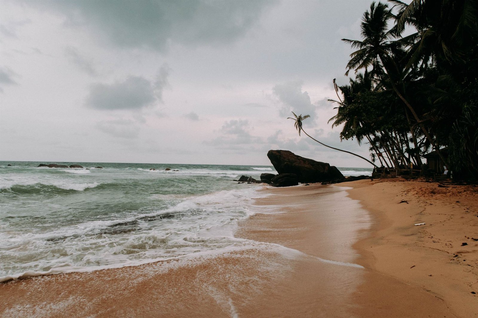 A quiet, moody beach with a lone leaning palm on Sri Lanka's south coast